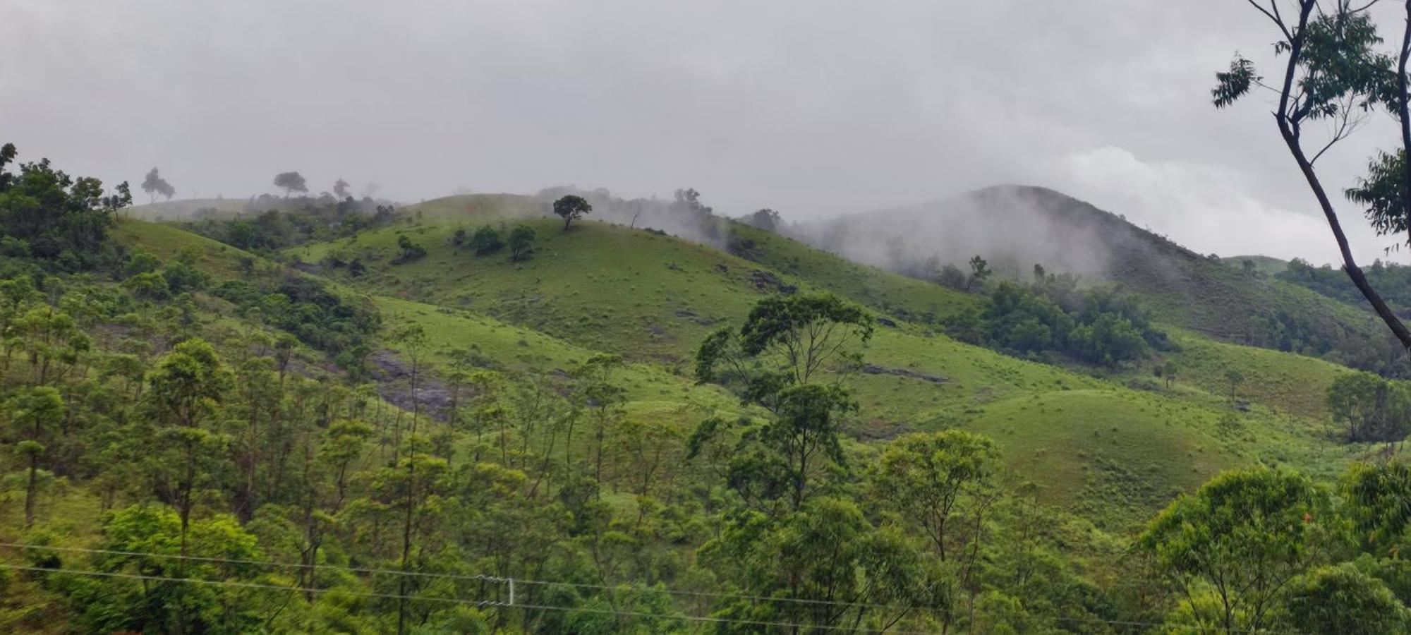 Winter Woods Apartment Vagamon Room photo