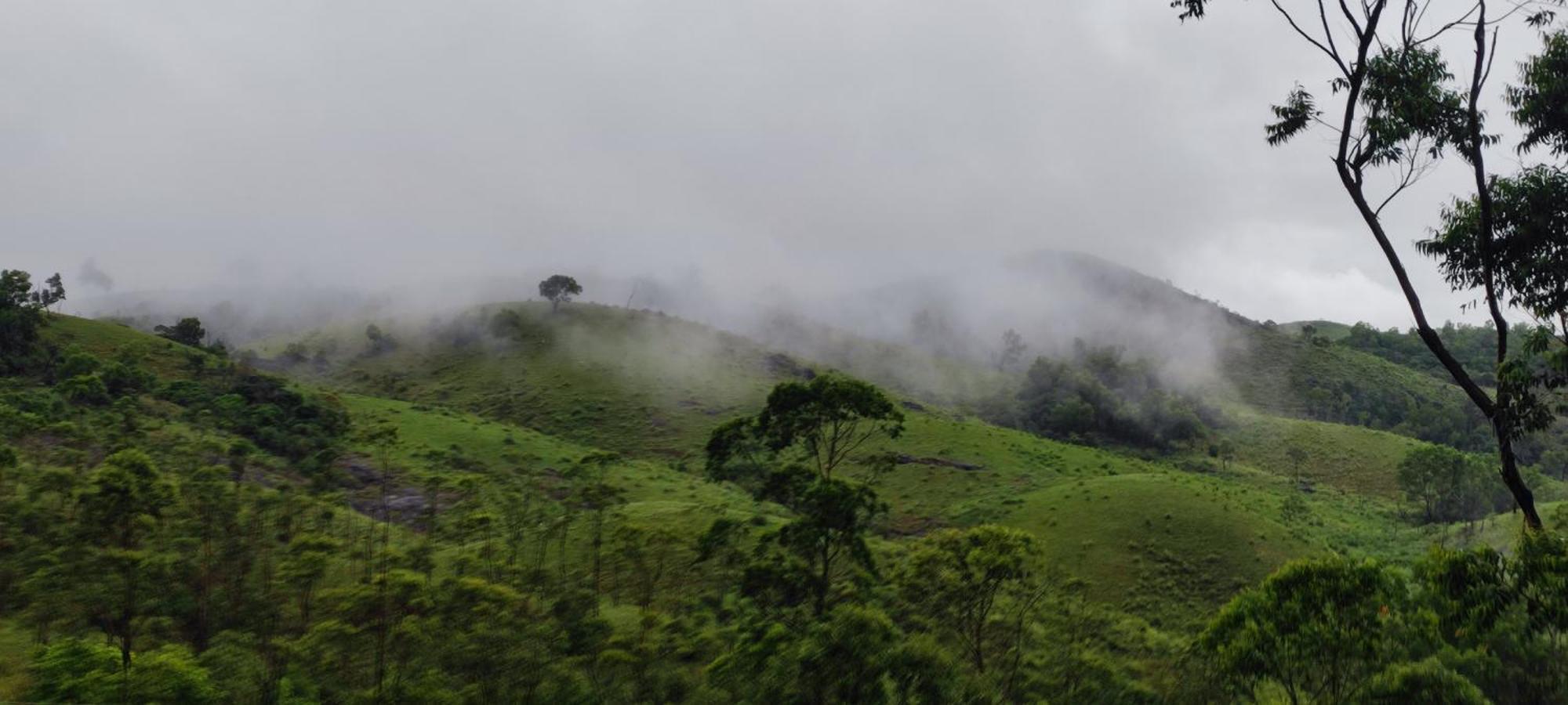Winter Woods Apartment Vagamon Room photo